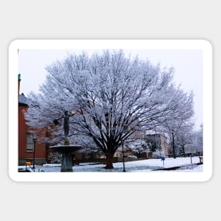 Snowy tree Sticker